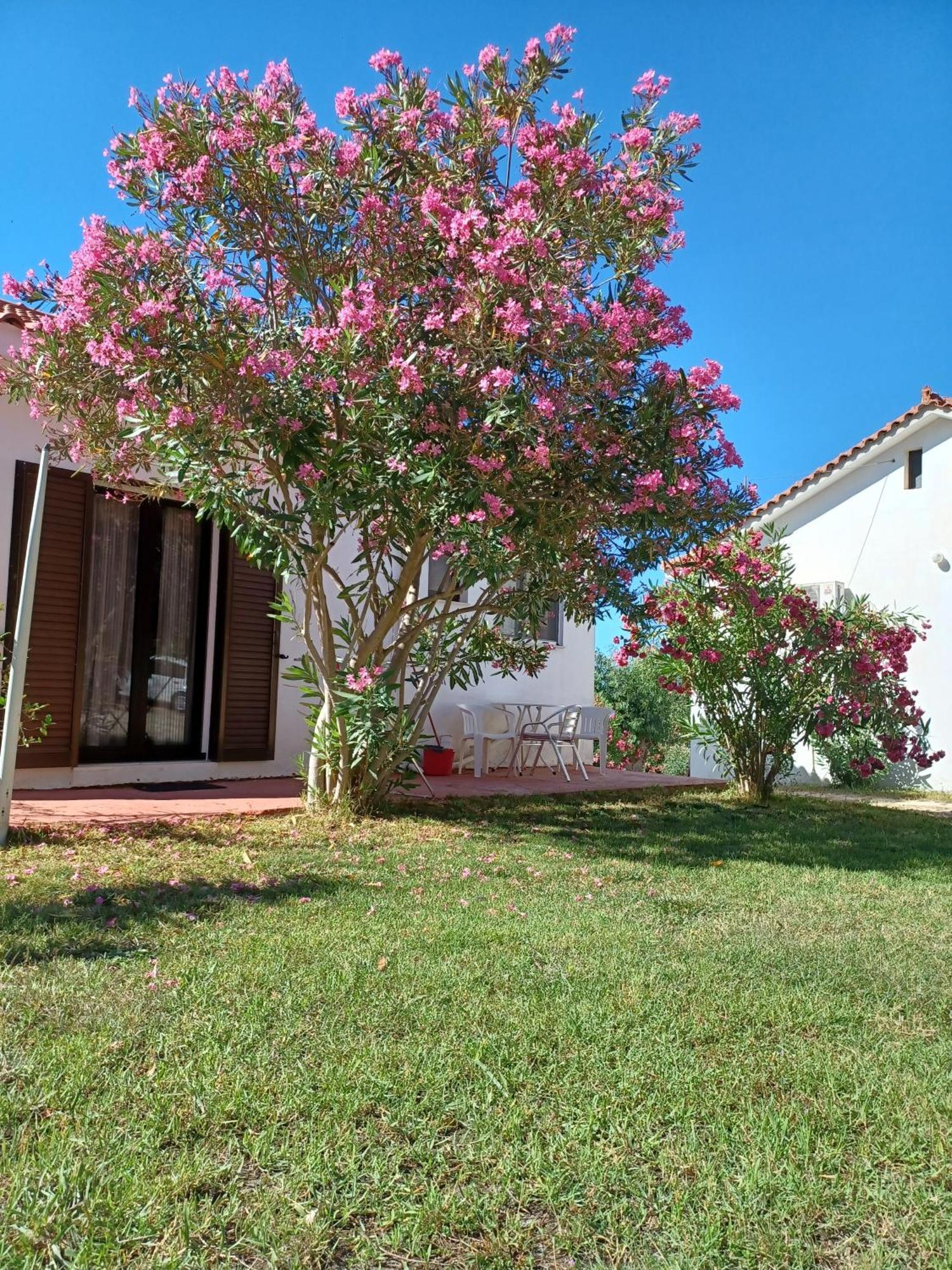 Nerissa Bungalow 2, Two Bedroom House With Sea View 斯巴达 外观 照片